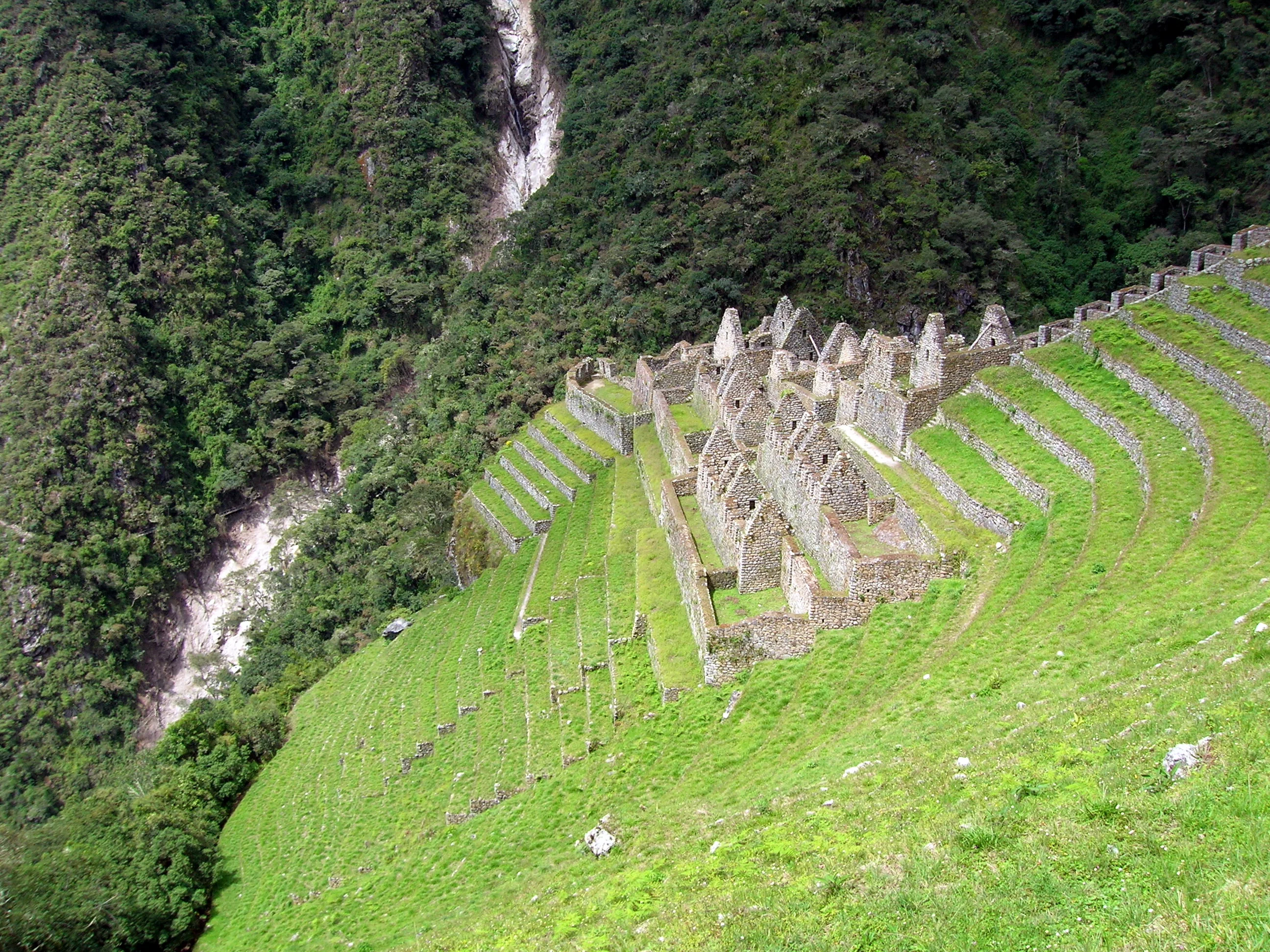 Peregrinación Ancestral a Través del Bosque de Niebla - 1